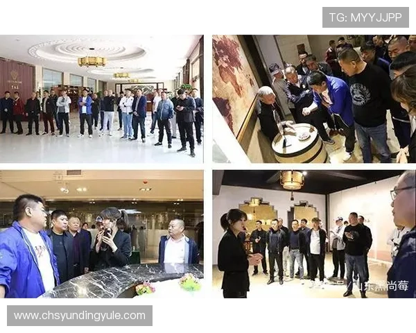 云顶公司取名的最新趋势与成功案例分享助你快速入门