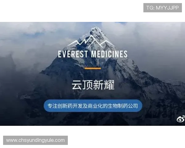 云顶新耀官网注册成功后如何快速上手游戏新手玩家必备的注册后操作指南