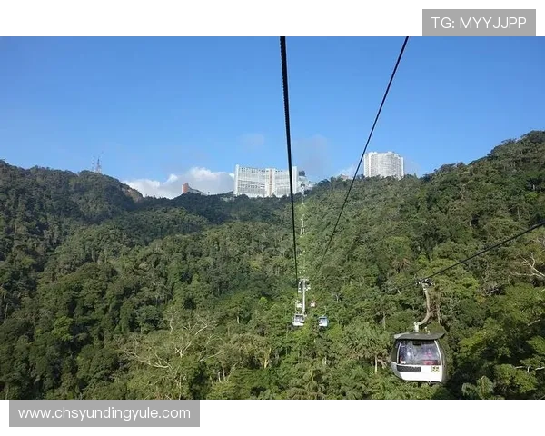 云顶赌场的数量及其分布情况全面解析,帮助游客合理规划行程 云顶赌场的数量及其分布情况全面解析,帮助游客合理规划行程