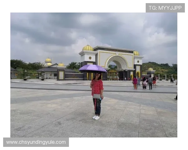 马来西亚云顶云星剧场官网官方平台全面解析与使用指南